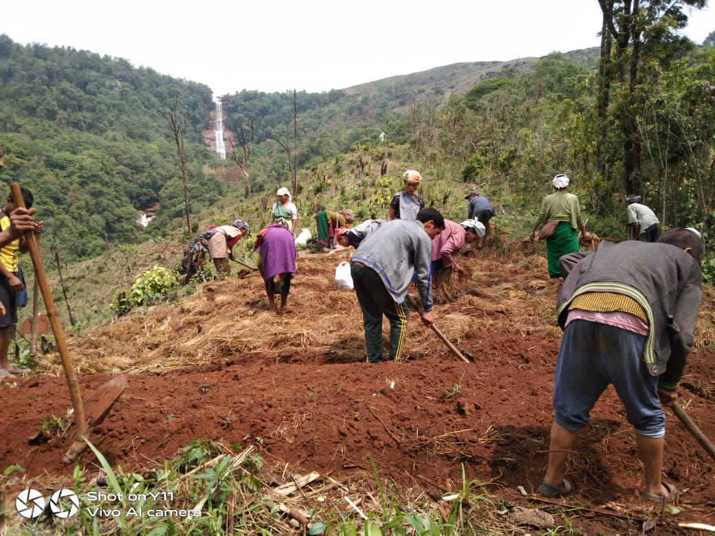 Bolstering farming activities in Wapung Skur village