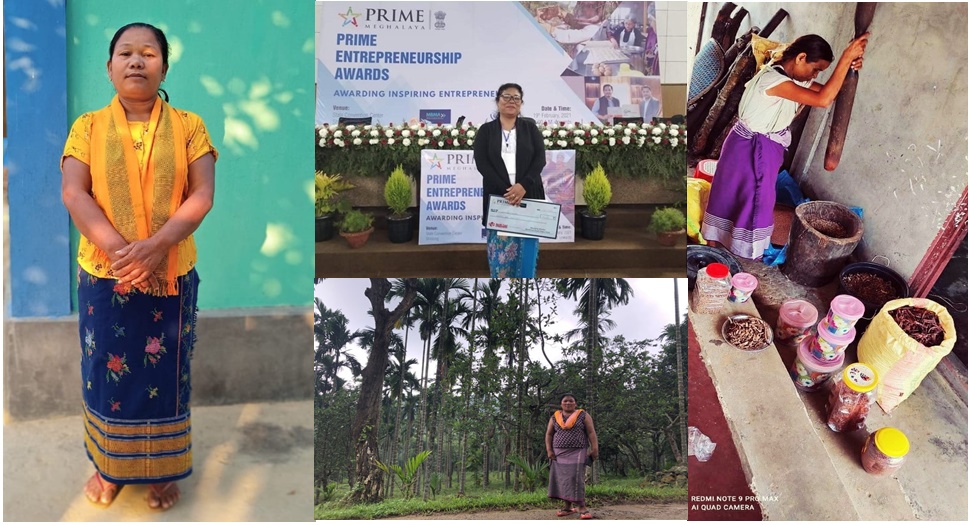 Role Models for Inclusive Rural Development – The Enterprising Women of Megha-LAMP